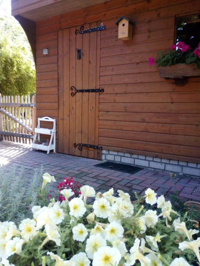 Villa Woodstock B+B Drouwenermond Exterior foto